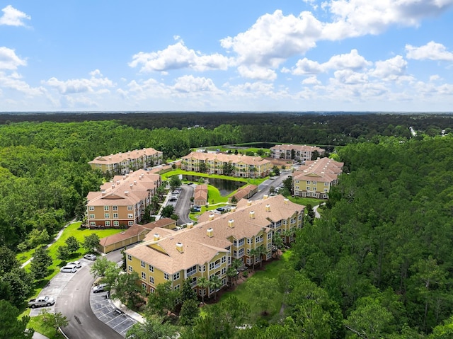 225 Old Village Center Cir Unit 4308, Saint Augustine, FL 32084 - aerial view of a forest
