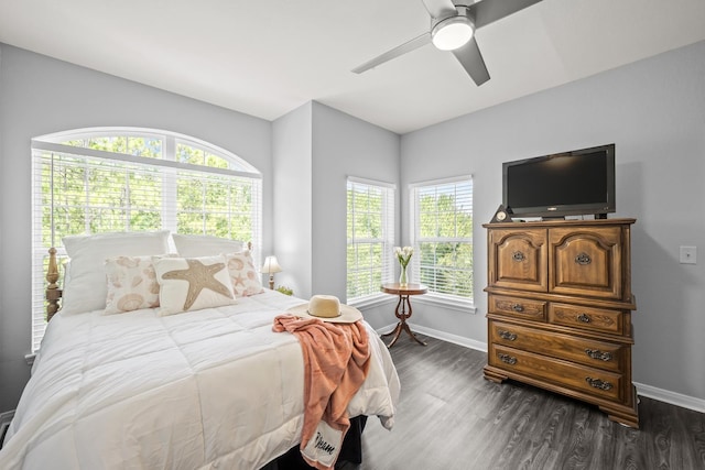 225 Old Village Center Cir Unit 4308, Saint Augustine, FL 32084 - bedroom featuring dark wood-style flooring, multiple windows, and a ceiling fan