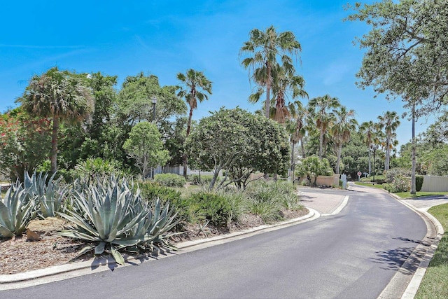 303 S Ocean Trace Rd, Saint Augustine, FL 32080 - view of asphalt road with curbs, street lights, and view of wooded area