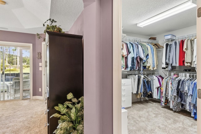 303 S Ocean Trace Rd, Saint Augustine, FL 32080 - spacious closet with carpet flooring