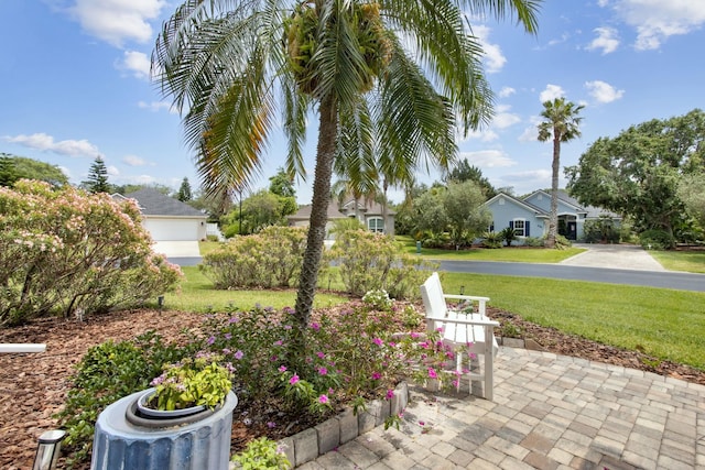 303 S Ocean Trace Rd, Saint Augustine, FL 32080 - view of grassy yard