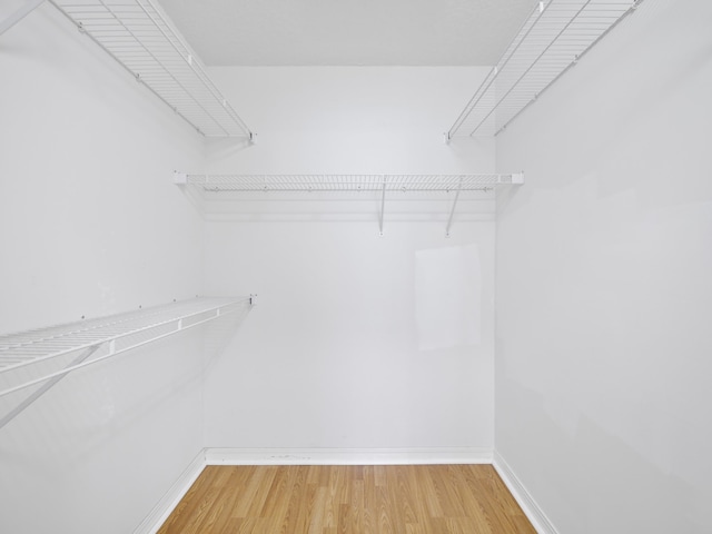 walk in closet featuring hardwood / wood-style floors