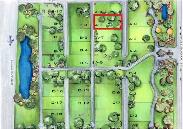0 NE 16th Ter Lot A-8, Ocala, FL 34479 - photo 8