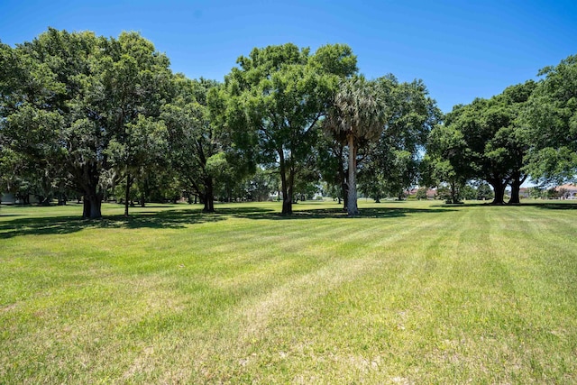 0 NE 16th Ter Lot A-8, Ocala, FL 34479 - photo 6