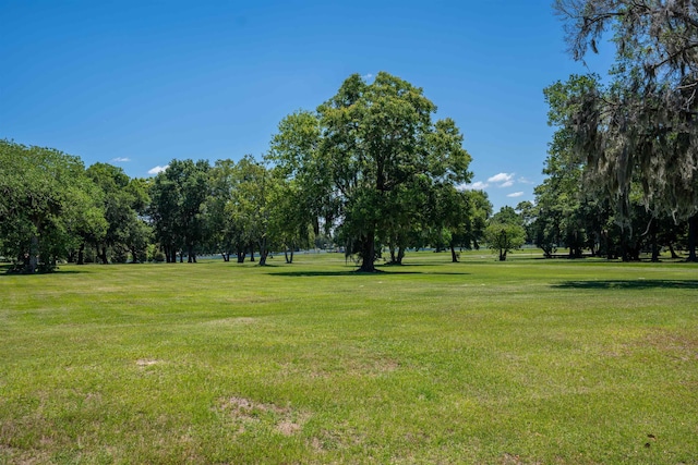 0 NE 16th Ter Lot A-8, Ocala, FL 34479 - photo 4