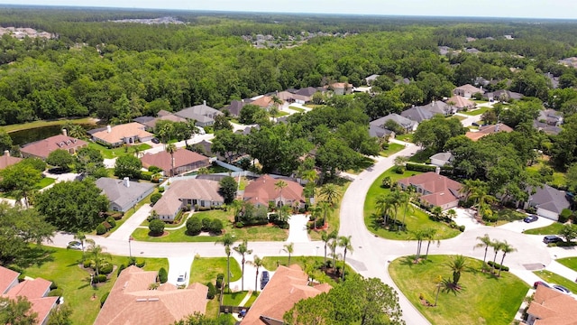 700 N Indigo Ter, Saint Johns, FL 32259 - aerial view of residential area with a forest