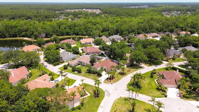 700 N Indigo Ter, Saint Johns, FL 32259 - aerial view of residential area with a forest