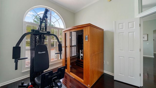 700 N Indigo Ter, Saint Johns, FL 32259 - exercise area featuring ornamental molding, dark wood-style floors, and baseboards