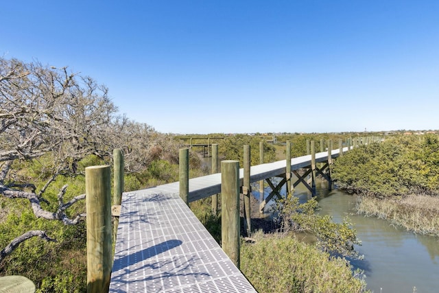 dock area with a water view