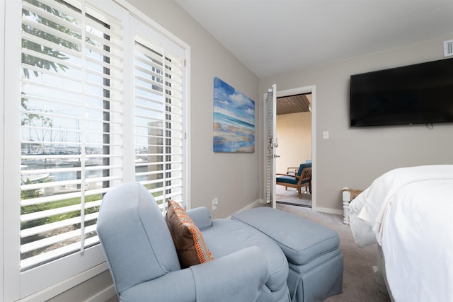 bedroom featuring carpet flooring and multiple windows