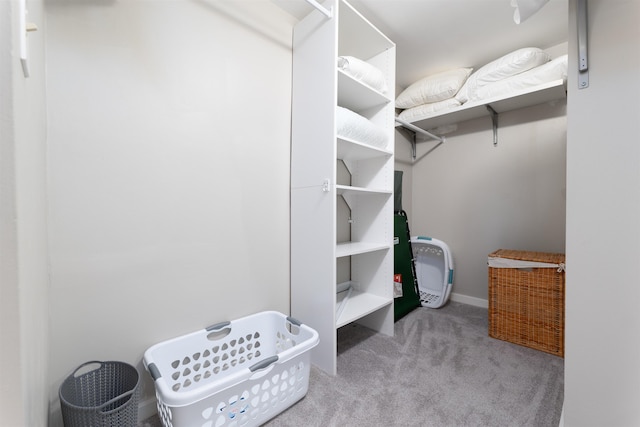 spacious closet featuring light colored carpet