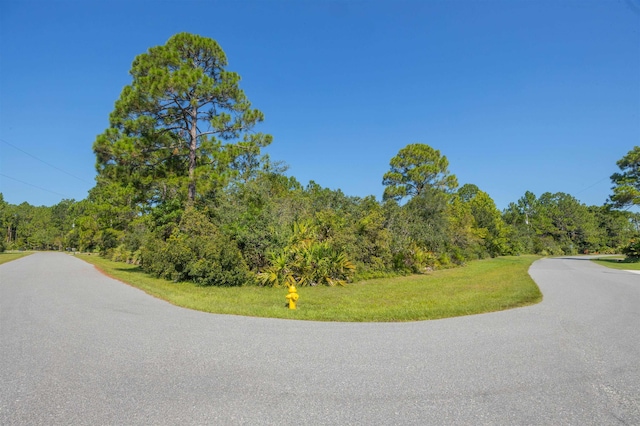 6905 Cypress Spring Ct, Saint Augustine, FL 32086 - photo 53