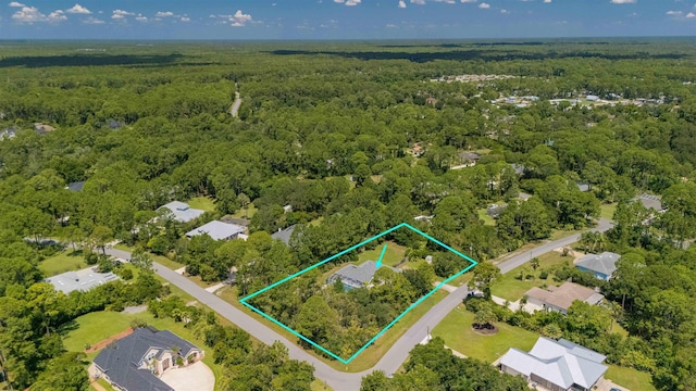 6905 Cypress Spring Ct, Saint Augustine, FL 32086 - photo 54