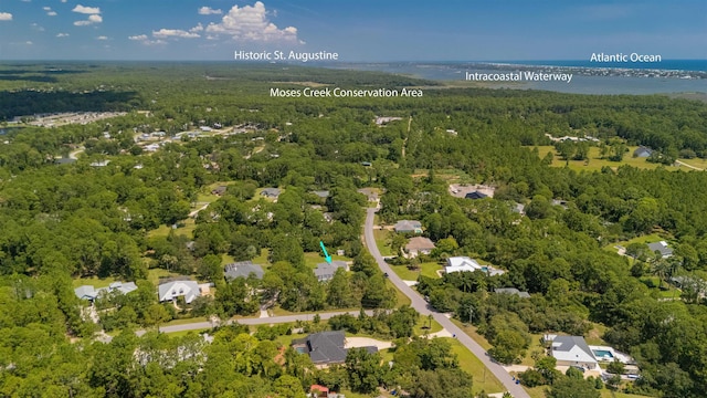 6905 Cypress Spring Ct, Saint Augustine, FL 32086 - photo 2