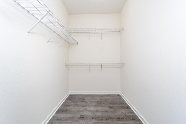 4350 Theresa St, Hastings, FL 32145 - spacious closet with wood finished floors