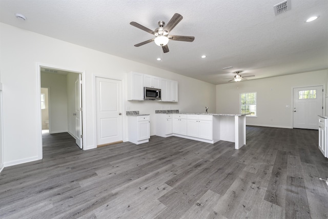 4350 Theresa St, Hastings, FL 32145 - kitchen with stainless steel microwave, ceiling fan, white cabinetry, wood finished floors, and recessed lighting