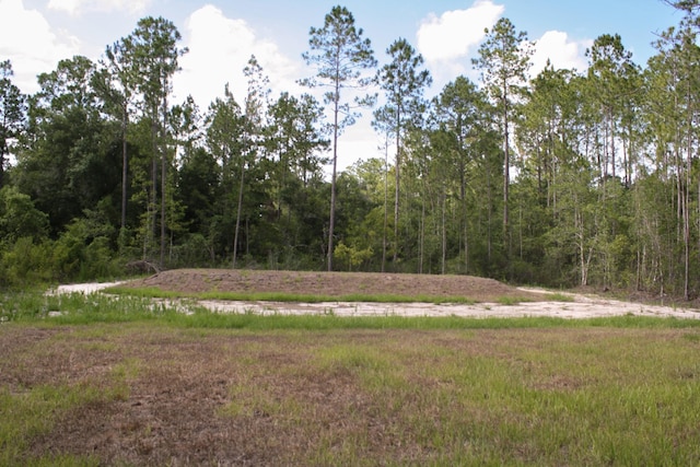 4350 Theresa St, Hastings, FL 32145 - view of woods
