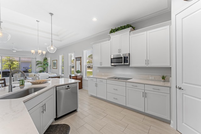 443 Pescado Dr, Saint Augustine, FL 32095 - kitchen featuring plenty of natural light, a sink, ornamental molding, and appliances with stainless steel finishes