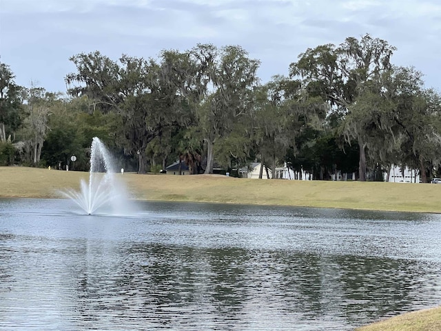 29071 Grandview Mnr, Yulee, FL 32097