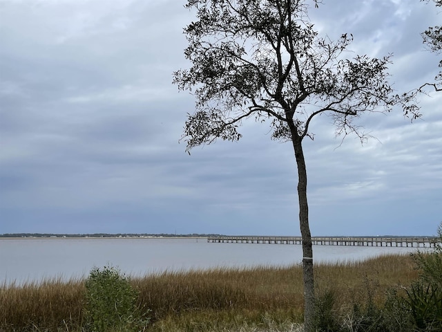 29071 Grandview Mnr, Yulee, FL 32097