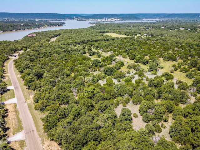 Listing photo 3 for LOT8 N Lakeview Dr, Palo Pinto TX 76484