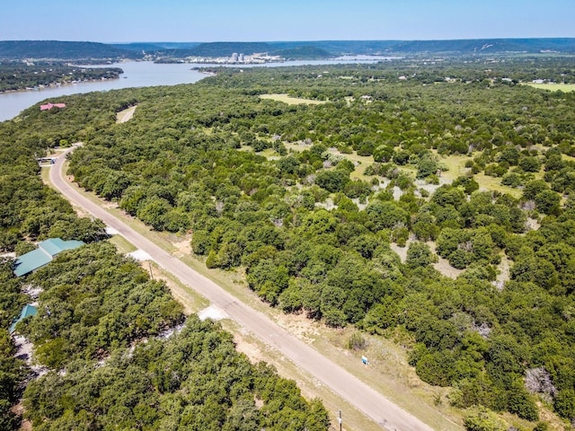 Listing photo 2 for LOT9 N Lakeview Dr, Palo Pinto TX 76484