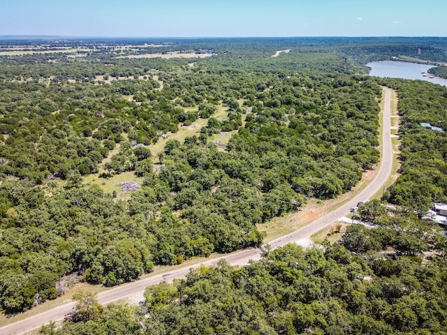 Listing photo 3 for LOT16 N Lakeview Dr, Palo Pinto TX 76484