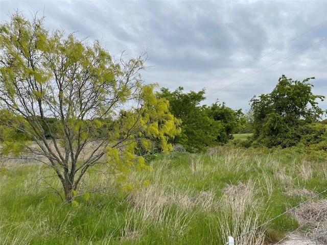 Listing photo 3 for 959 M And M Ranch Rd, Granbury TX 76049