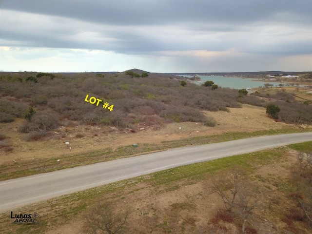 Listing photo 3 for 207 Hidden Shores Dr, Cisco TX 76437