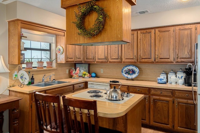 kitchen featuring a textured ceiling, custom exhaust hood, backsplash, and sink