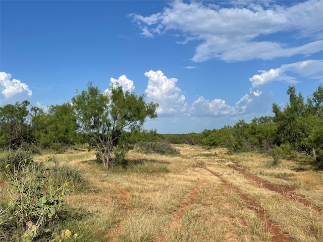 Listing photo 3 for TRACT4 Fm 600, Abilene TX 79601