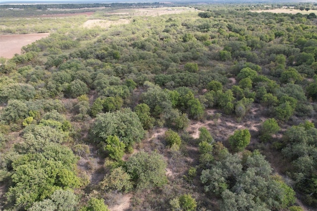 Listing photo 3 for TRACT11 Pvt Rd, Tbd, Abilene TX 79601