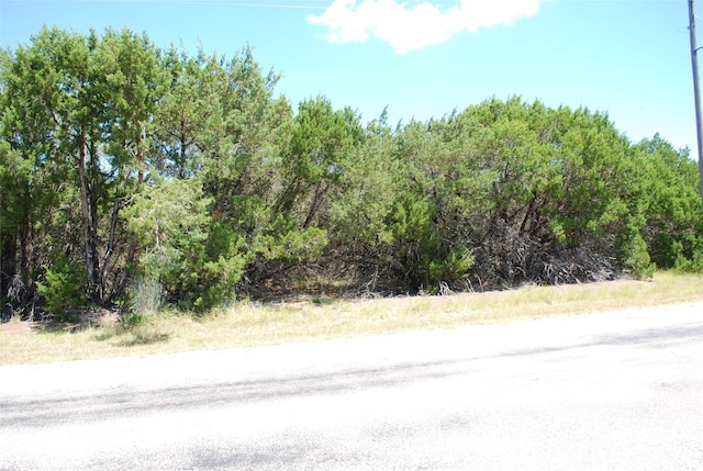 8183 Cedar Crest Dr, Whitney TX, 76692 land for sale