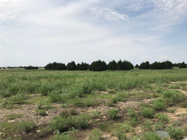 LOT1BLOCKF Maggie Ln, Midlothian TX, 76065 land for sale