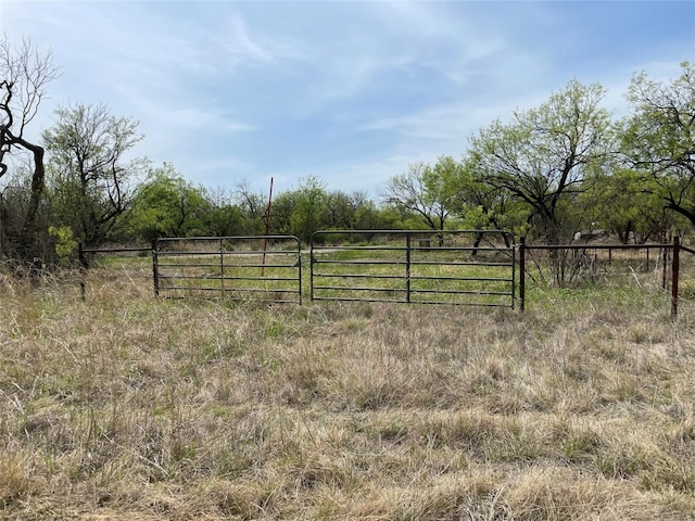 Listing photo 3 for TBD Highway 6, Albany TX 76424