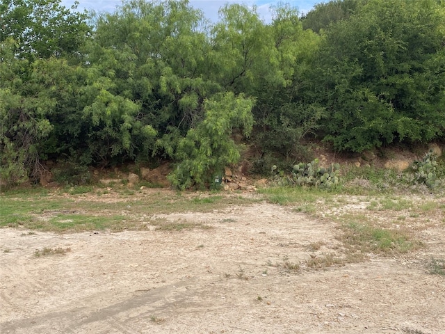 523 NE 1st St, Mineral Wells TX, 76067 land for sale