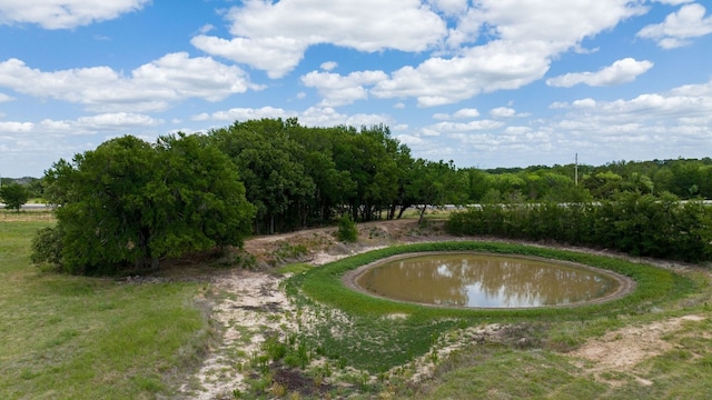 Listing photo 2 for 8526 N Fm 1744, Hico TX 76457