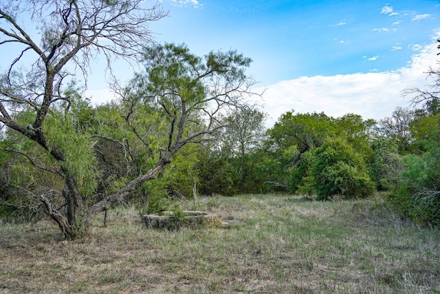 TBD County Road 175 12, Stephenville TX, 76401 land for sale