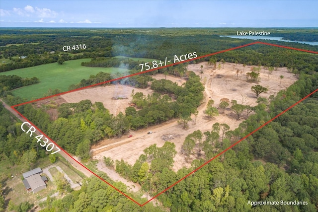 19451 County Road 4307th Rd, Larue TX, 75770 land for sale