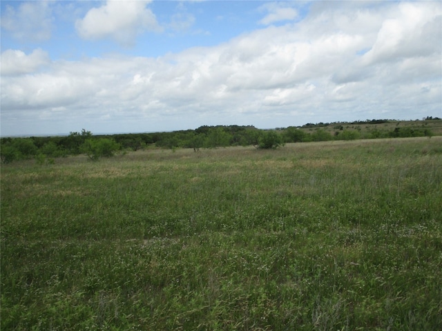 13AC Elenburg Rd, Perrin TX, 76486 land for sale