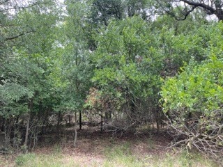 Listing photo 3 for TBD Homewood Cir, Early TX 76802