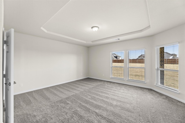 carpeted spare room featuring a raised ceiling