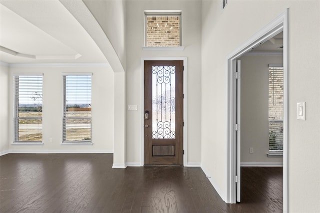 foyer entrance with a tray ceiling and dark wood-type flooring