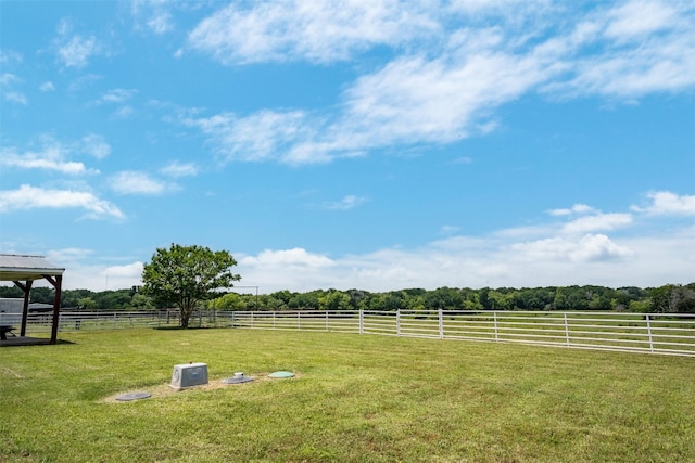 view of yard with a rural view