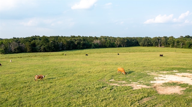 view of yard featuring a rural view