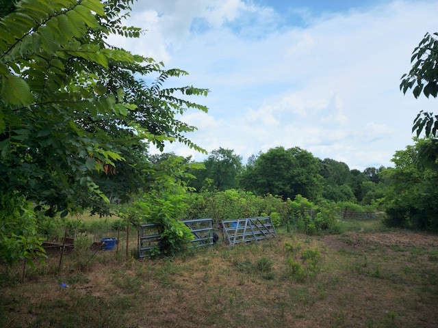 view of yard with a rural view