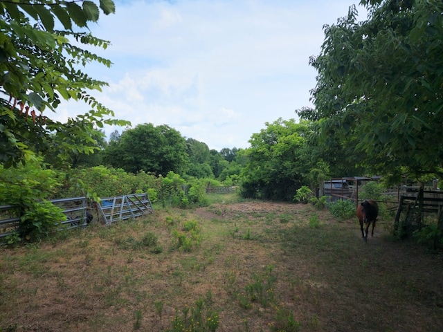 view of yard with a rural view