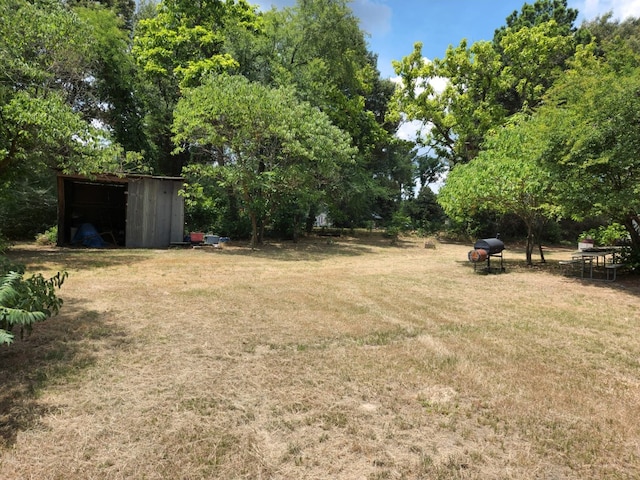 view of yard featuring a storage unit