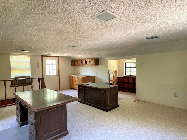 interior space featuring a textured ceiling, a healthy amount of sunlight, and light colored carpet