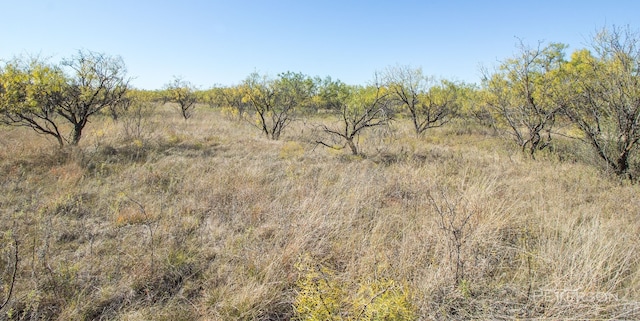 Listing photo 2 for LOT17050 Autumn Sage Ln, Abilene TX 79606